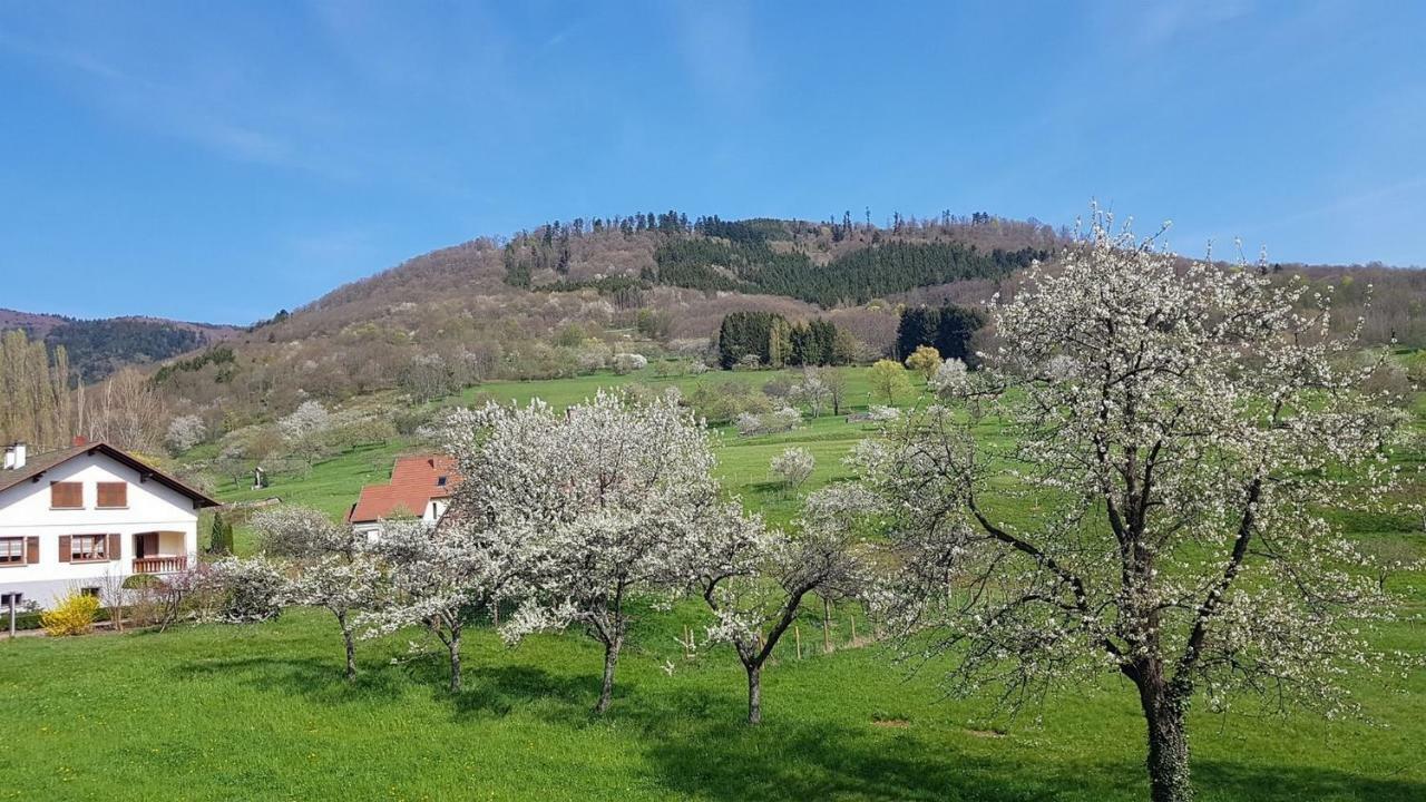 Le Breit Maison De Charme Avec Sa Dependance Breitenbach Dış mekan fotoğraf